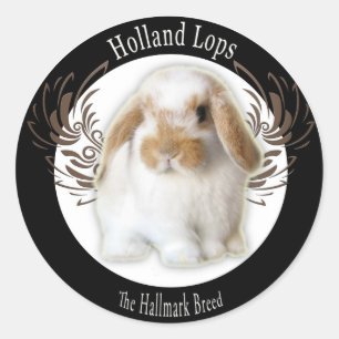Holland-Schmierölniederdruck-Aufkleber Runder Aufkleber
