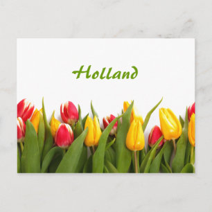 Holland, Spring Tulip Garden Postcard Postkarte