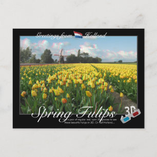 Holland Spring Tulips Landscape 3D Anaglyph Postkarte