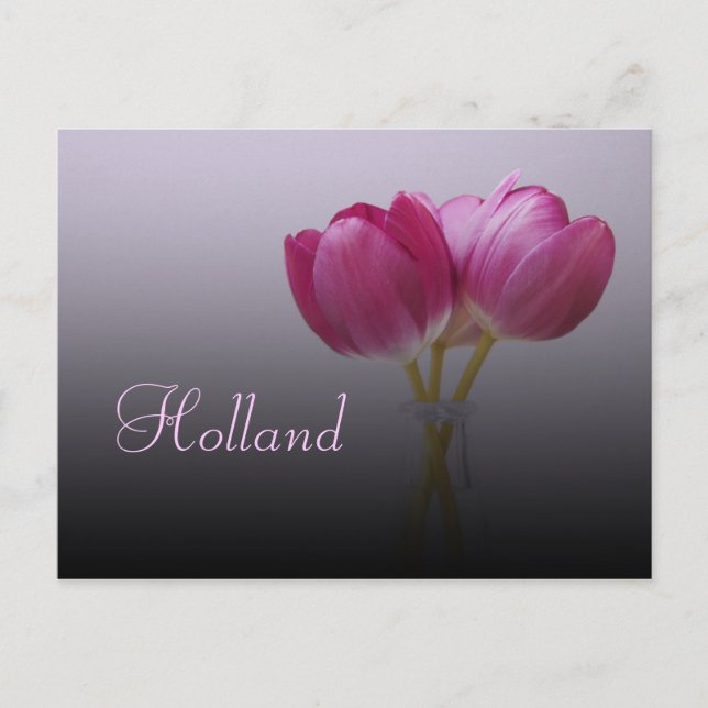 Holland, Spring Tulips Postcard Postkarte (Vorderseite)
