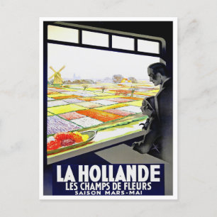 Holland tulips vintage travel Postcard Postkarte