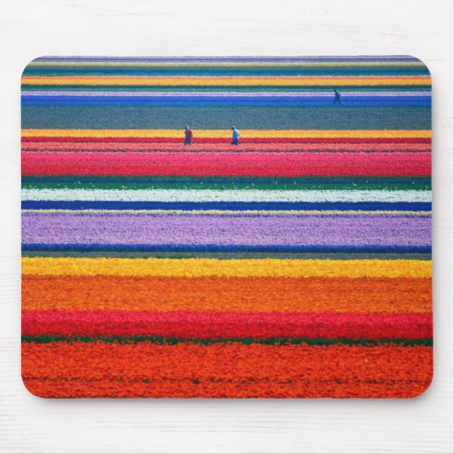 Holland, Tulpefelder Mousepad (Vorne)