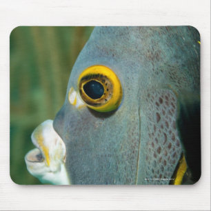 Holländer Antillen, Bonaire, Mousepad