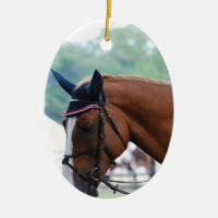 Holländer Warmblood Pferdeverzierung