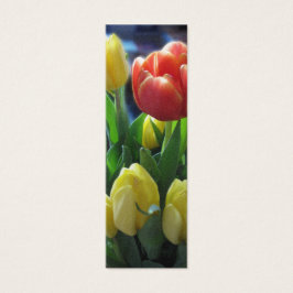 Holländisch Tulips Holland Lesezeichen Foto Kunst