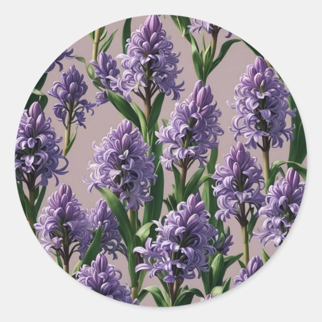 Holländische Hyacinth-Lila-Blumen Runder Aufkleber (Vorderseite)