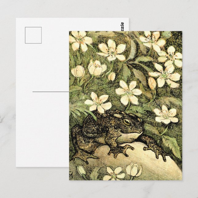 Holländische Jugendstil-Toad und Dogwood Postkarte (Vorne/Hinten)