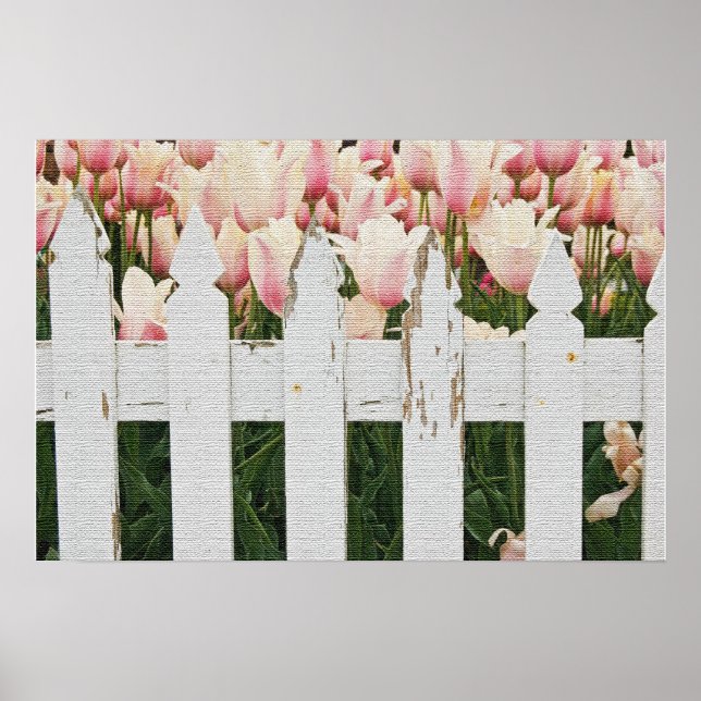 Holländischer rosa Tulpen Garten Poster (Vorne)