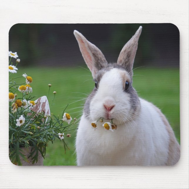 Holländisches Kaninchen mit Blume Mousepad (Vorne)