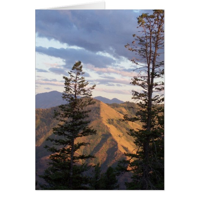 Höllenvertikaleansicht (Vorne)