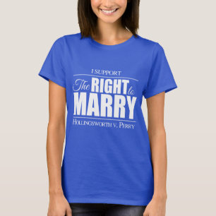 HOLLINGSWORTH GEGEN PERRY -.png T-Shirt