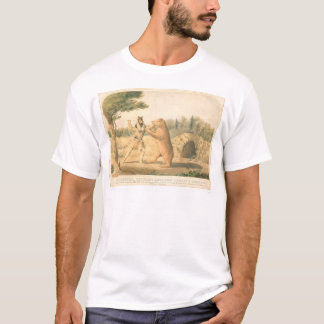 Hollister Bärn-Treffen (0547A) T-Shirt
