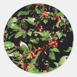Holly and Berries Stickers