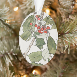 Holly-Aquarellmalerei, Hannah Borger Overbeck Ornament