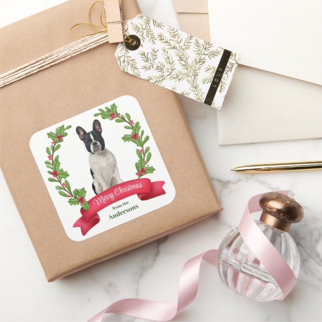 Holly Banner Schwarz-weiß French Bulldog Holiday Quadratischer Aufkleber (Schenken)