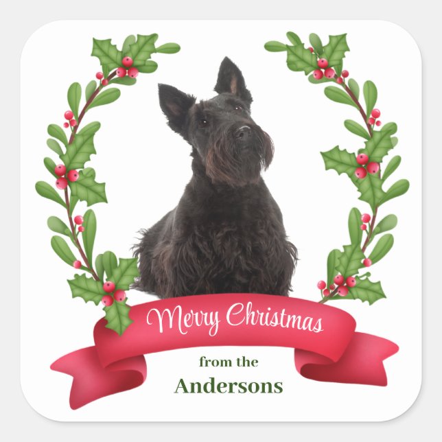Holly Banner Scottish Terrier Dog Christmas Quadratischer Aufkleber (Vorderseite)