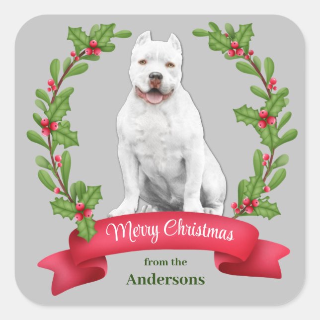 Holly Banner White Pit Bull Dog Weihnachten Quadratischer Aufkleber (Vorderseite)