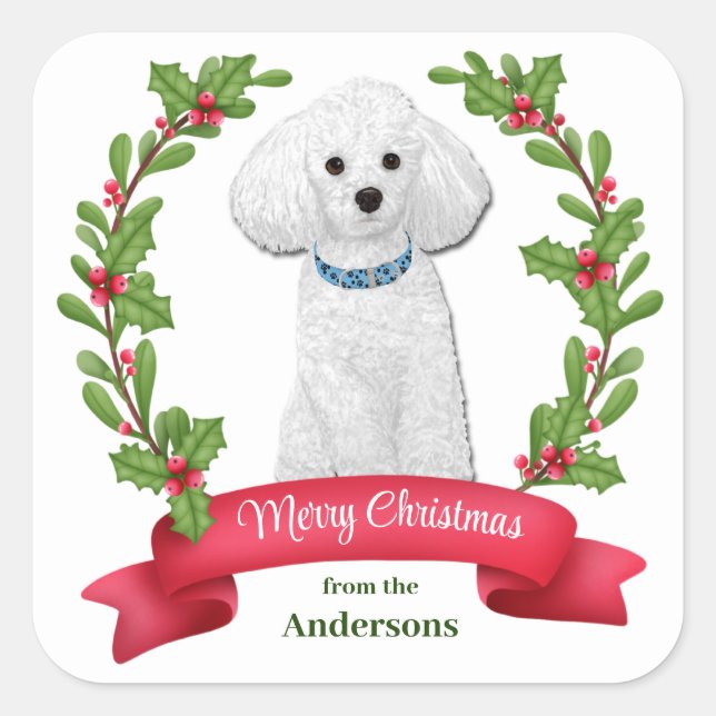 Holly Banner White Poodle Weihnachten Quadratischer Aufkleber (Vorderseite)