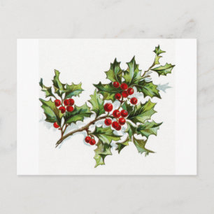 Holly Berries 001 Postkarte