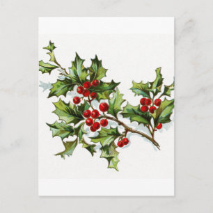 Holly Berries 002 Postkarte