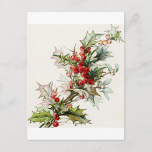 Holly Berries 003 Postkarte
