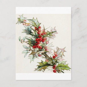 Holly Berries 004 Postkarte
