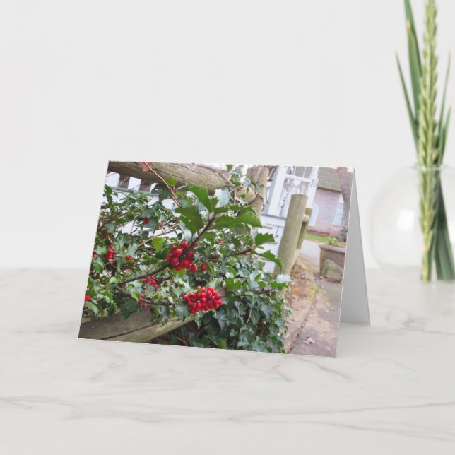 Holly Berries and Fence - Martha's Vineyard Karte (Vorderseite)