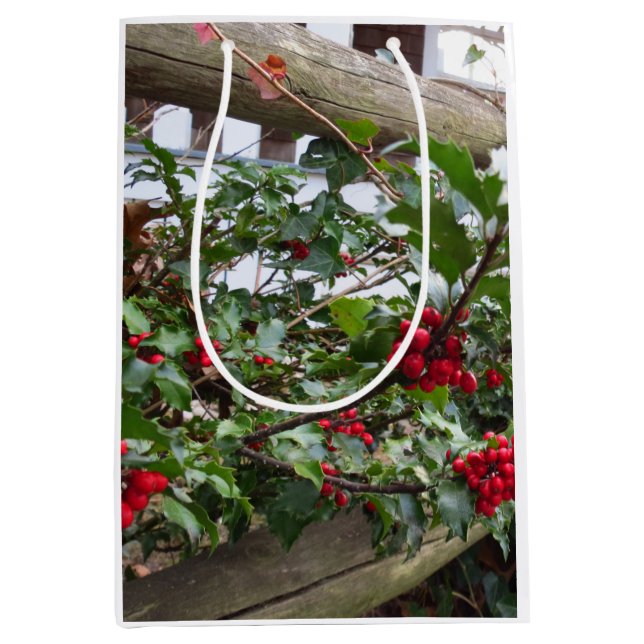 Holly Berries and Fence - Martha's Vineyard Mittlere Geschenktüte (Vorderseite)
