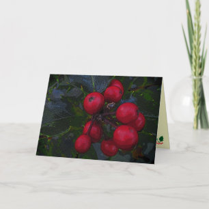 Holly Berries Froher Festtage Feiertagskarte