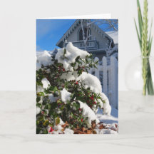 Holly Berries in Snow - Martha's Vineyard