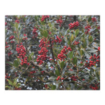 Holly Berry Bush Imitats umarmte Canvas Small