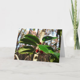 Holly Blätter I Holiday Botanical Feiertagskarte