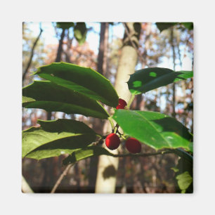 Holly Blätter I Holiday Botanical Magnet
