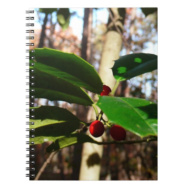 Holly Blätter I Holiday Botanical Notizblock (Vorderseite)