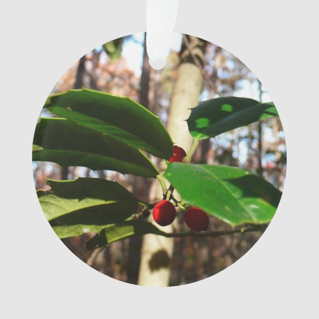 Holly Blätter I Holiday Botanical Ornament (Vorderseite)