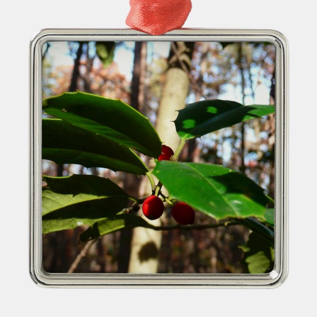 Holly Blätter I Holiday Botanical Ornament Aus Metall (Vorne)