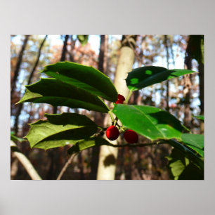 Holly Blätter I Holiday Botanical Poster