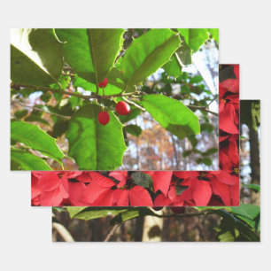 Holly Blätter II Holiday Nature Botanical