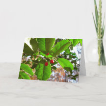 Holly Blätter II Holiday Nature Botanical