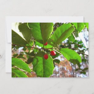 Holly Blätter II Holiday Nature Botanical Feiertagskarte