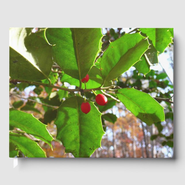 Holly Blätter II Holiday Nature Botanical Gästebuch (Vorderseite)
