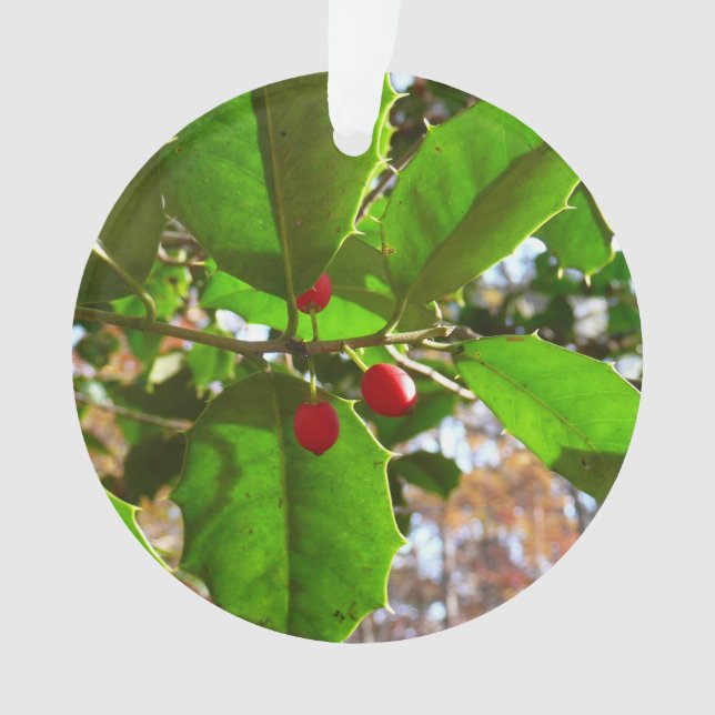 Holly Blätter II Holiday Nature Botanical Ornament (Vorderseite)