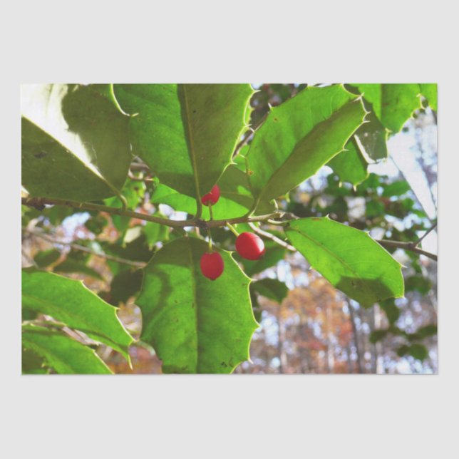 Holly Blätter II Holiday Nature Botanical Seidenpapier (Vorderseite)