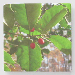 Holly Blätter II Holiday Nature Botanical Steinuntersetzer