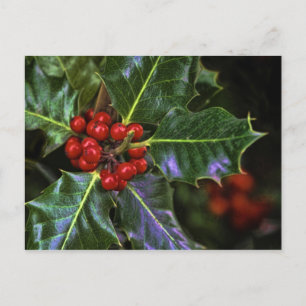 Holly Blätter und Berries Postkarte