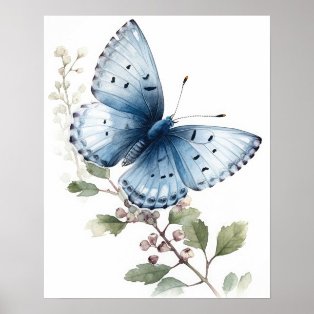 Holly Blue Butterfly Art Print Poster (Vorne)