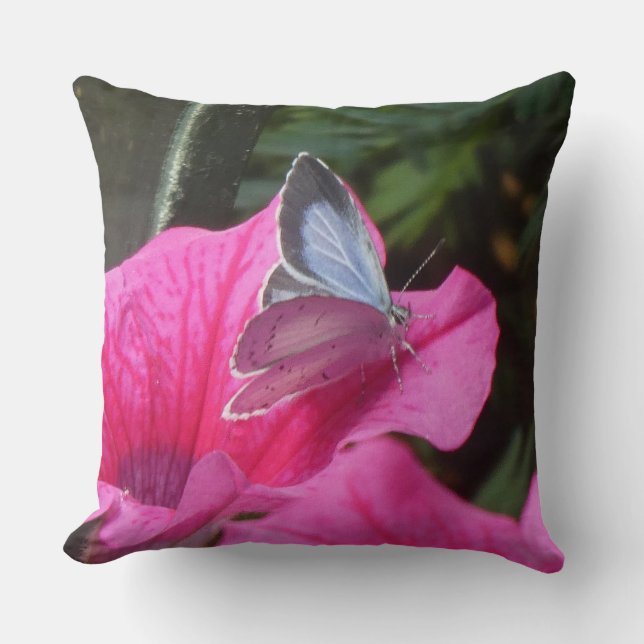 Holly Blue Butterfly on Pink Flower Throw Pillow Kissen (Vorderseite)