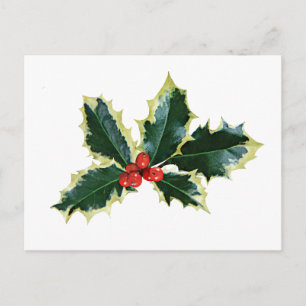 Holly Brownells Variegate Postkarte