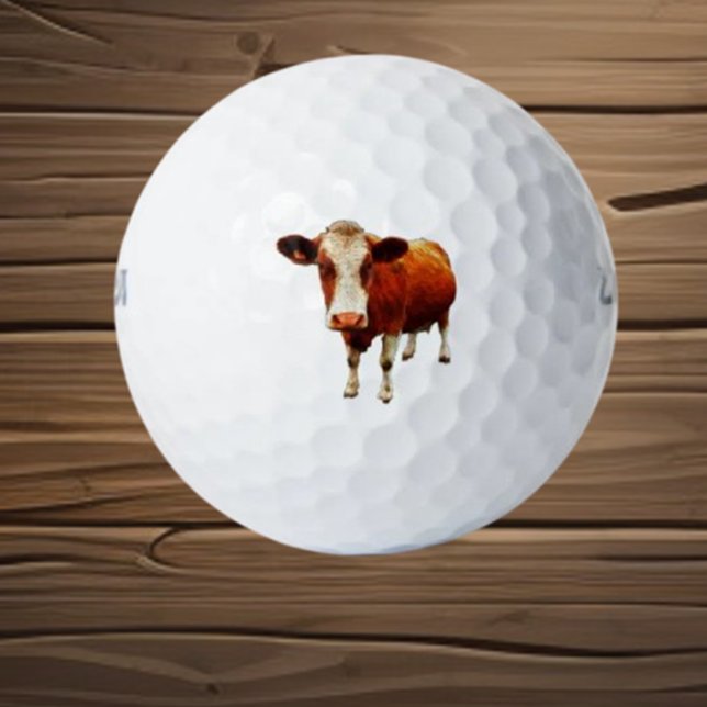 Holly Cow GOLF BALLS Golfball (Discover hollow cow golf balls designed for gentle practice and improved control)