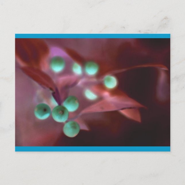 Holly Feiertagspostkarte (Vorderseite)